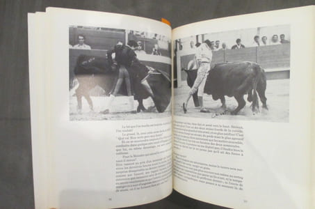 RICHARD MILLIAN JOURNAL DE CAMPAGNE