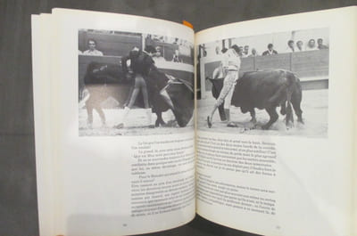 RICHARD MILLIAN JOURNAL DE CAMPAGNE