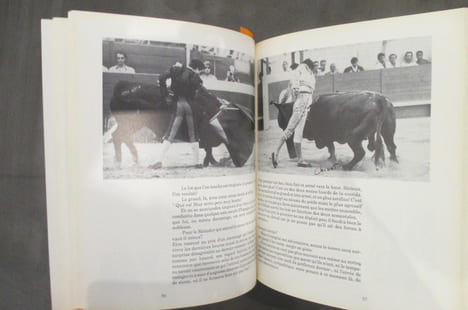 RICHARD MILLIAN JOURNAL DE CAMPAGNE. André Viard