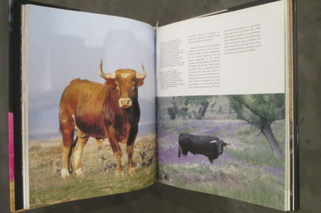 LE GRAND LIVRE DE LA CORRIDA . André Viard 