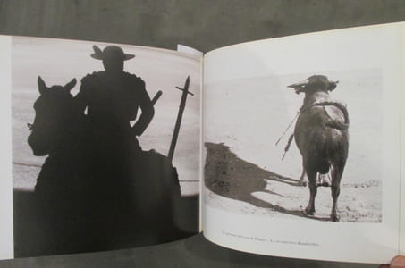 LE SANG DU TORO