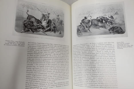 Le Peintre et la tauromachie. Alvaro Martinez-Novillo
