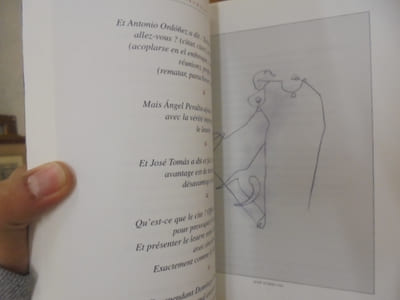 Le mystère Taurin