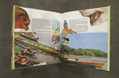 BONJOUR LA GUYANE. Guide pour touristes curieux.