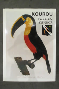 KOUROU VILLE EN DEVENIR.