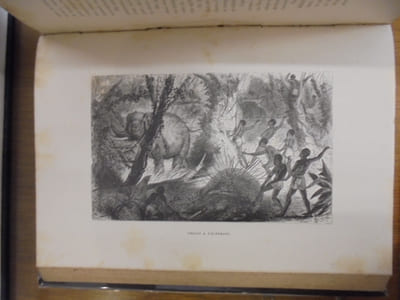 Voyages et aventures dans l'Afrique équatoriale, moeurs et coutumes des habitants; chasses au gorille, au crocodile, au léopard, à l'éléphant, à l'hippopotame, etc., etc.
