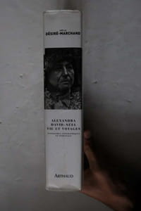 Alexandra David-Néel, vie et voyages: Itinéraires géographiques et spirituels
