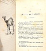 CHASSES de l'Alg&eacute;rie et notes sur les Arabes du Sud.. MARGUERITTE (G&eacute;n&eacute;ral A.);