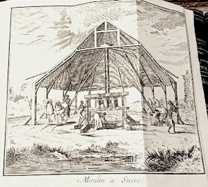 Histoire de la JAMAÏQUE, traduite de l'anglais par M.***, ancien officier de Dragons.. SLOANE (Hans);