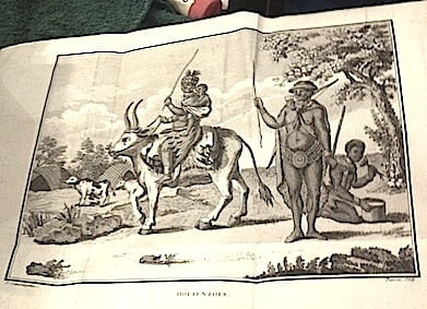 Voyage à la NOUVELLE-GUINEE, dans lequel on trouve la description des lieux, des observations physiques & morales, & des détails relatifs à l'Histoire ...