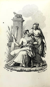 LE POUVOIR DES DAMES.