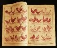 TOUS LES ANIMAUX D'ORNEMENT, Les Poules Pratiques, Canards - Oies - Dindes - Pintades et Pigeons et Lapins ( Catalogue ) .. Ets  " Jardin ...