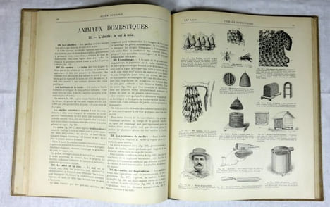 Album agricole. 32 leçons avec texte en regard des planches contenant 600 figures.. JENNEPIN, HERLEM, ZOLLA