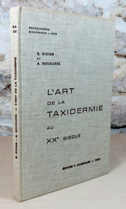 L'art de la taxidermie au XX° siècle.