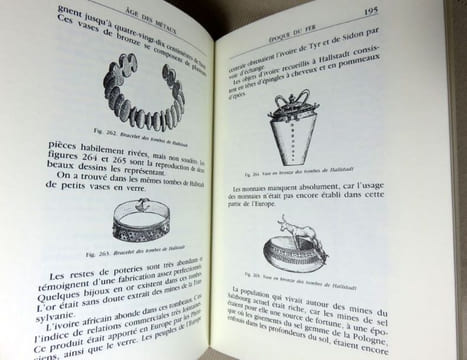 L'homme primitif dans sa vie quotidienne. Nouvelle édition mise à jour par Albert Demazière.. LETORT Jean-Pierre, WOLINER Jacques