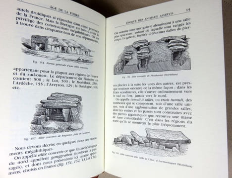 L'homme primitif dans sa vie quotidienne. Nouvelle édition mise à jour par Albert Demazière.. LETORT Jean-Pierre, WOLINER Jacques
