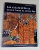Les chateaux forts dans la France du moyen age.. PANOUILLE Jean-Pierre