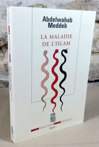 La maladie de l'islam.