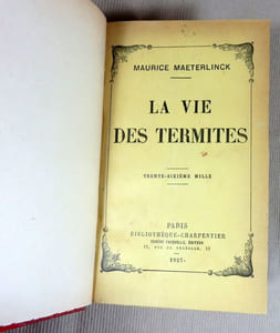 La vie des termites
