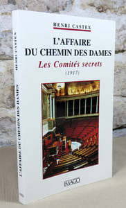 L'affaire du chemin des dames. Les comités secrets (1917).