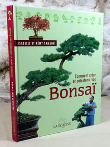 Comment créer et entretenir vos bonsai.
