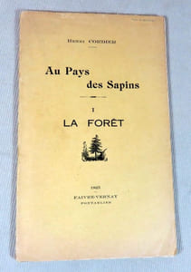 Au pays des sapins I : La forêt.