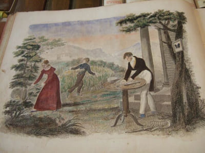Les Papillons, Leur Histoire, la Manière de leur Faire la Chasse et de les Conserver ; Ouvrage Amusant et Instructif, Orné de figures représentant un choix des plus beaux Papillons d'Europe. Dédié à la Jeunesse.