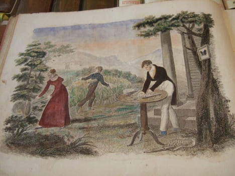 Les Papillons, Leur Histoire, la Manière de leur Faire la Chasse et de les Conserver ; Ouvrage Amusant et Instructif, Orné de figures représentant un ...