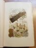 Trois dizains de contes gaulois, illustrations de LE NATUR.. [JAYBERT Léon].