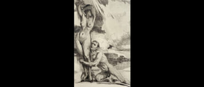 Les Luxures. Extrait des " Névroses " avec trente et une eaux-fortes du Peintre et graveur LOBEL-RICHE.
