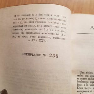 Ann Vickers. Traduit par Maurice Rémon.