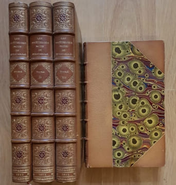 Les Facétieuses Nuits du seigneur J. F. Straparole traduites par J. Louveau et P. De Larivey publiées avec une préface et des notes par G. Brunet. ...