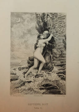 Les Facétieuses Nuits du seigneur J. F. Straparole traduites par J. Louveau et P. De Larivey publiées avec une préface et des notes par G. Brunet. ...