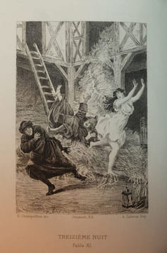 Les Facétieuses Nuits du seigneur J. F. Straparole traduites par J. Louveau et P. De Larivey publiées avec une préface et des notes par G. Brunet. ...