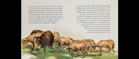 Terre d'Or. Avec 16 lithographies originales en couleurs de Pierre Letellier. Texte inédit de Jean Giono.. GIONO (Jean). - 