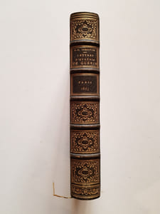Lettres d'Eugénie de Guérin. Publiées avec l'assentiment de sa famille par G. S. Trébutien.