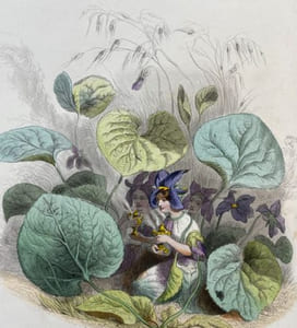 Les Fleurs animées. Introductions par Alphonse Karr. Texte par Taxile Delord. Première partie (et deuxième partie). Suivi de la Botanique des dames[et de] Horticulture des Dames.