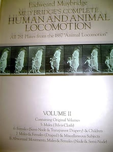 MUYBRIDGE'S COMPLETE. HUMAN AND ANIMAL LOCOMOTION. All 78 plates from the 1887 " Animal Locomotion". Volume I. Containing Original Volumes 1 & 2 : Males (Nude). 3 & 4 : Females (Nude). Volume II. Contaiining Original Volumes. 5. Males (Pelvis Cloth). 6 : Females (Semi-Nude & Transparent Drapery) é Children. 7: Males & Females (Draped) & Miscellaneous Subjects. 8: Abnormal Movements, Males & Females (Nude & Semi-Nude). Volume III.9 Horses. 10: Domestic Animals. 11: Wild Animals & Birds. Original Prospectus & Cataloue of Plates.