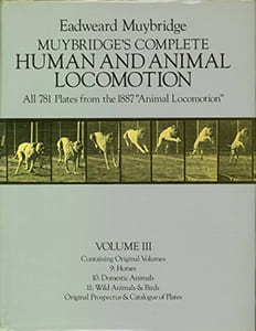 MUYBRIDGE'S COMPLETE. HUMAN AND ANIMAL LOCOMOTION. All 78 plates from the 1887 " Animal Locomotion". Volume I. Containing Original Volumes 1 & 2 : Males (Nude). 3 & 4 : Females (Nude). Volume II. Contaiining Original Volumes. 5. Males (Pelvis Cloth). 6 : Females (Semi-Nude & Transparent Drapery) é Children. 7: Males & Females (Draped) & Miscellaneous Subjects. 8: Abnormal Movements, Males & Females (Nude & Semi-Nude). Volume III.9 Horses. 10: Domestic Animals. 11: Wild Animals & Birds. Original Prospectus & Cataloue of Plates.