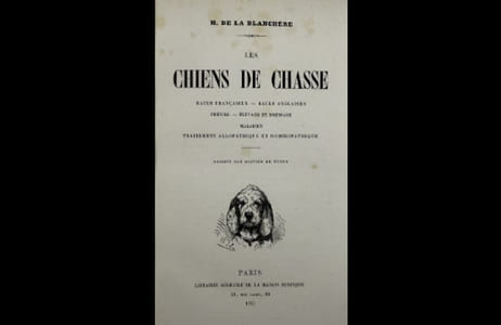 Les Chiens de chasse. Races françaises - Races anglaises. - Chenils. - Élevae et dressage - Maladies. - Traitement allopathique et homéopathique. Dessins par OLIVIER DE PENNE.