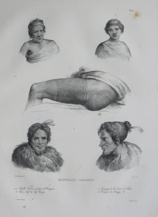  [NOUVELLE-ZELANDE] Nouvelle-Z&eacute;lande.. DUMONT D'URVILLE (Jules-S&eacute;bastien-C&eacute;sar);SAINSON (Louis-Auguste de);