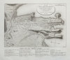 Plan de la ville de Sydney capitale des colonies angloises, aux Terres Australes.. FREYCINET (Louis de).