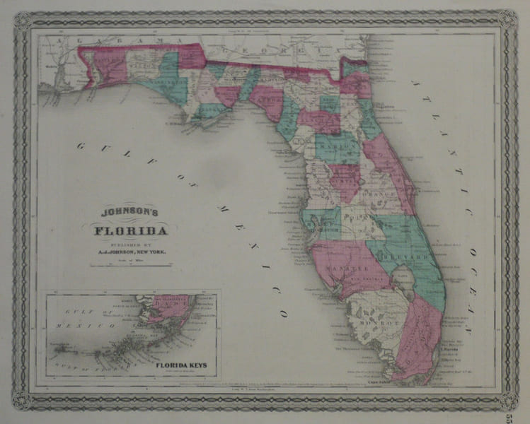  Johnson's Florida.. JOHNSON (Alvin Jewett);