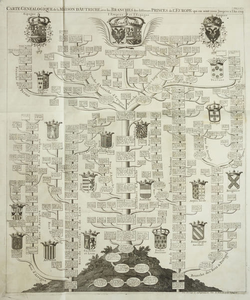  Carte g&eacute;n&eacute;alogique de la Maison d'Autriche, avec les branches des diff&eacute;rents princes de l'Europe qui en sont issus jusqu'es &agrave; l'an 1708.. CHATELAIN ...