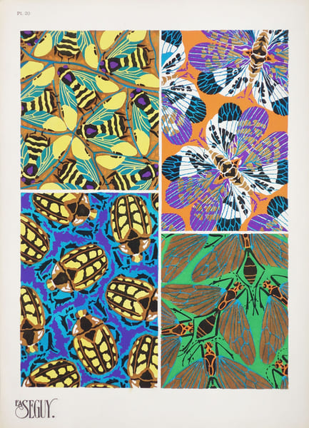  Papillons. Planche 20.. S&Eacute;GUY (&Eacute;mile-Allain).