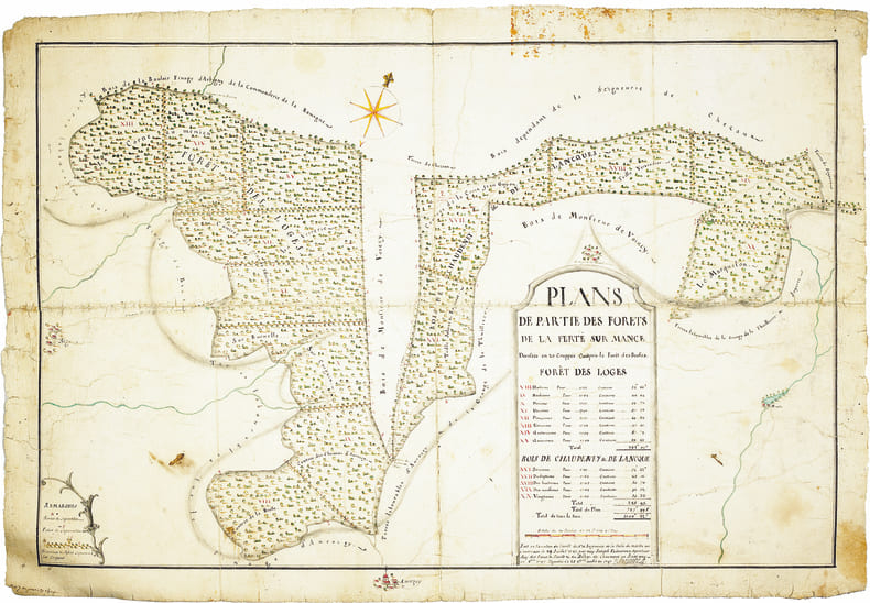 Plans de partie des for&ecirc;ts de La Fert&eacute; sur Mance, divis&eacute;es en 20 couppes compris la for&ecirc;t des Brosses.. TABOUREUX (Joseph). MANUSCRIT.