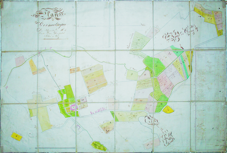 Plan géométrique des propriétés de Mr. le Comte Louis Duchatel situé à Wez.. WEZ. MANUSCRIT.