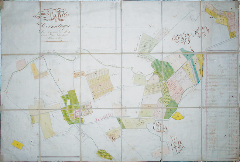 Plan g&eacute;om&eacute;trique des propri&eacute;t&eacute;s de Mr. le Comte Louis Duchatel situ&eacute; &agrave; Wez.. WEZ. MANUSCRIT.