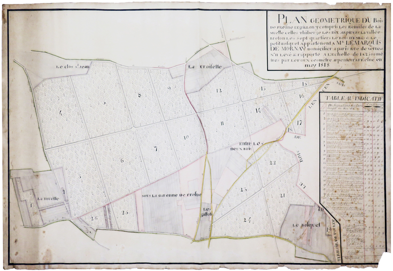 Plan géométrique du bois de Fresne l'Eguillon, y compris les remises de Lamuette, celles Thiberge, les Dix Arpents, la Vallée Breton, les Sept ...