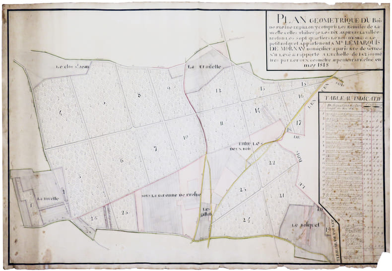 Plan g&eacute;om&eacute;trique du bois de Fresne l'Eguillon, y compris les remises de Lamuette, celles Thiberge, les Dix Arpents, la Vall&eacute;e Breton, les Sept ...